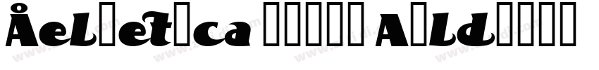 Helvetica Profi Bold字体转换
